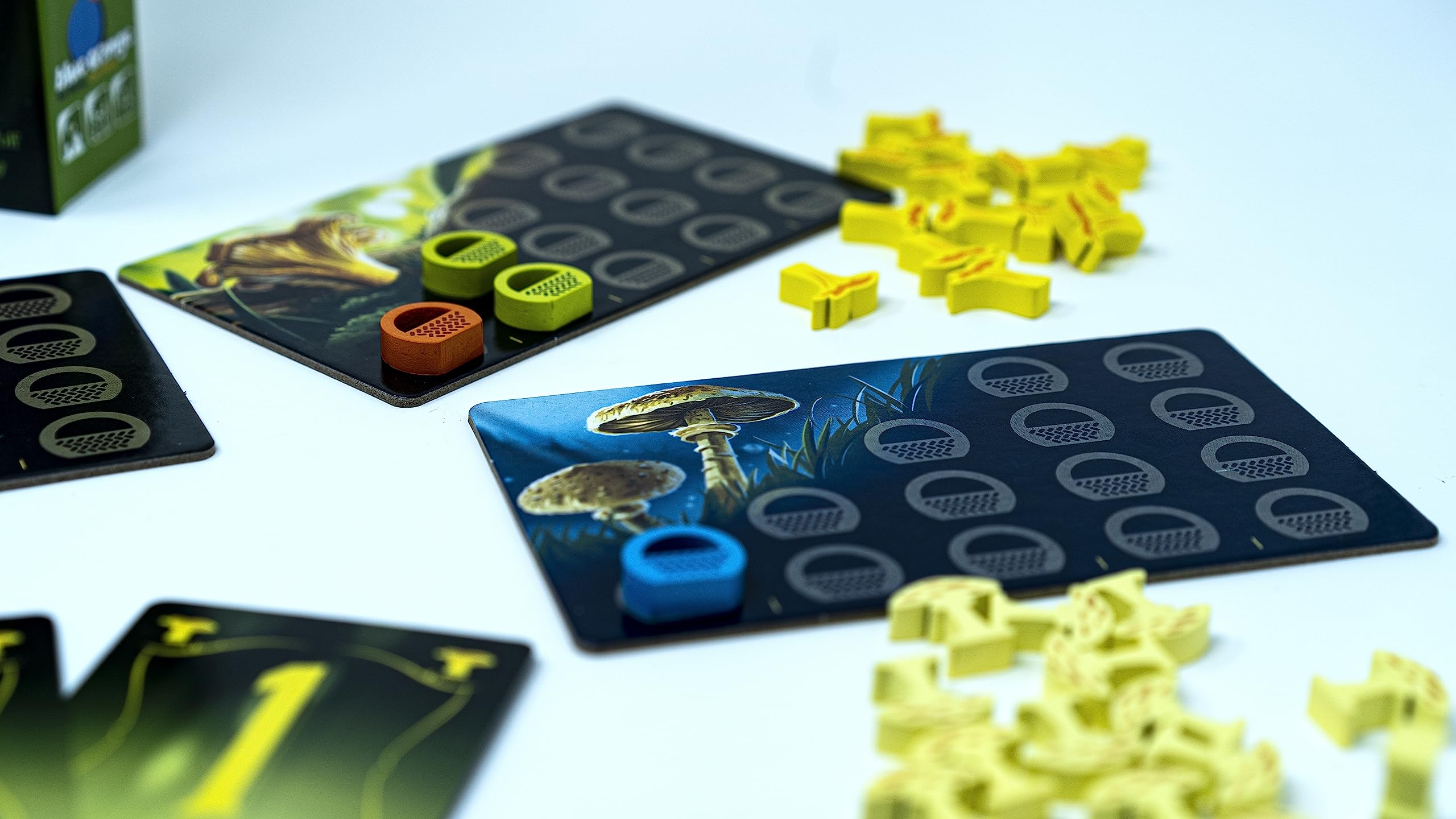 Wonder Woods Board Game by Blue Orange Games - Family or Adult Mushroom Theme Strategy Board Game for 2 to 5 Players. Recommended for Ages 8 & Up. - Image 4